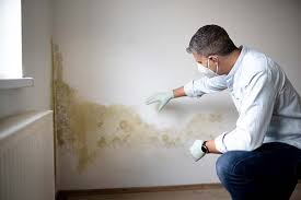 Best Environmental Consulting for Mold Prevention  in Galena, IL